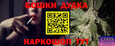 дмт Пушкино