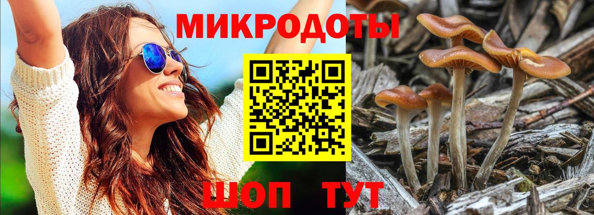 Псилоцибиновые грибы Psilocybe  Псилоцибиновые грибы Magic Shrooms  Саратов  Вход с VPN 
